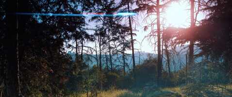 Free download [BMPCC 4K Anamorphic] Griffith Park - Square Filter Tests video and edit with RedcoolMedia movie maker MovieStudio video editor online and AudioStudio audio editor onlin